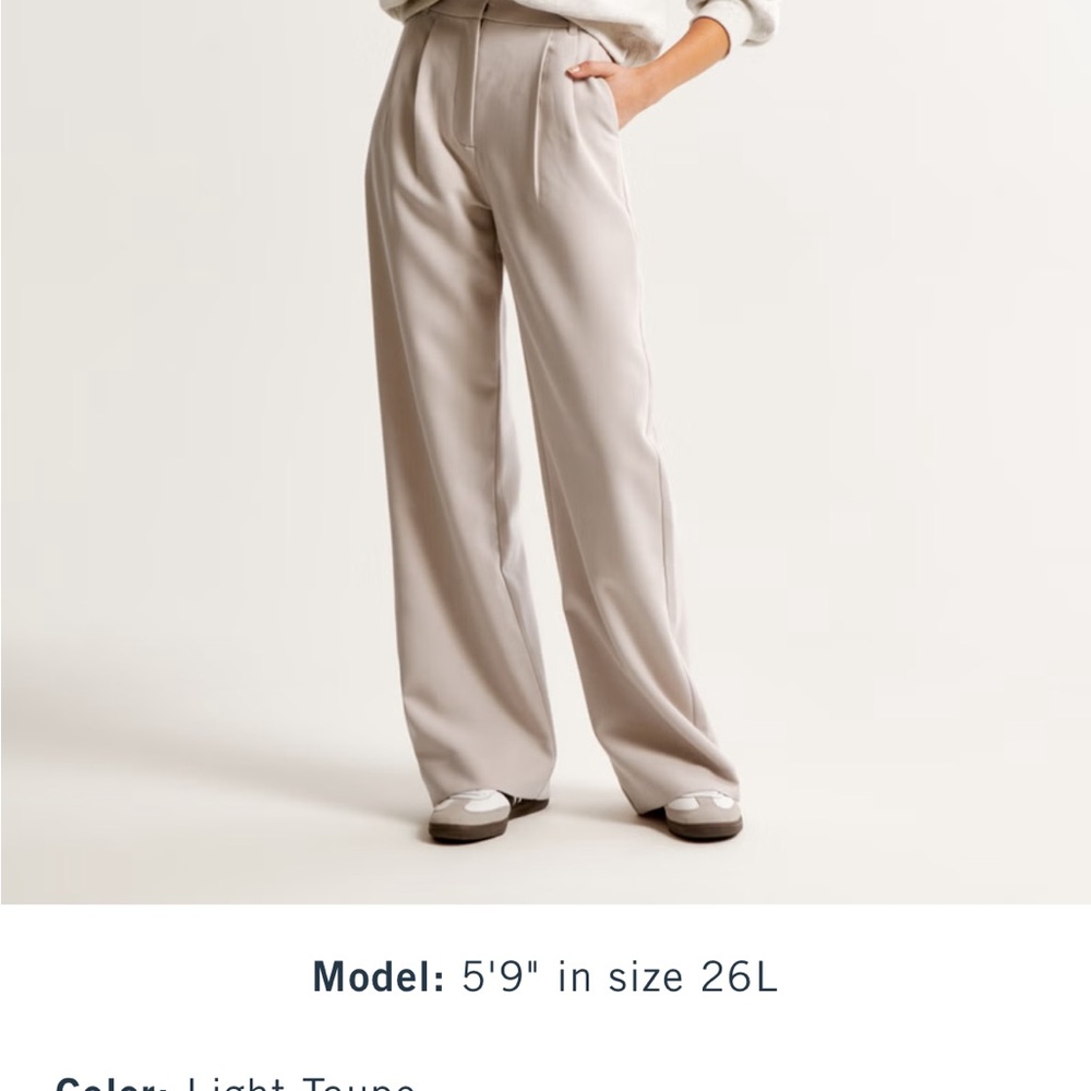 Abercrombie Sloane Tailored Wide Leg Pants